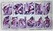 Nail Tips Violet 550 Pcs/Box