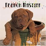 French Mastiff 2009 Wall Calendar