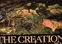 The Creation: 2 (A Studio book)