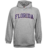 Nike Florida Gators Ash Youth Classic College Hoody Sweatshirt