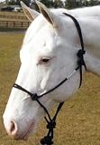 Hamilton Knotted Style Rope Horse Halter and Lead, Average (800-1100 lbs)