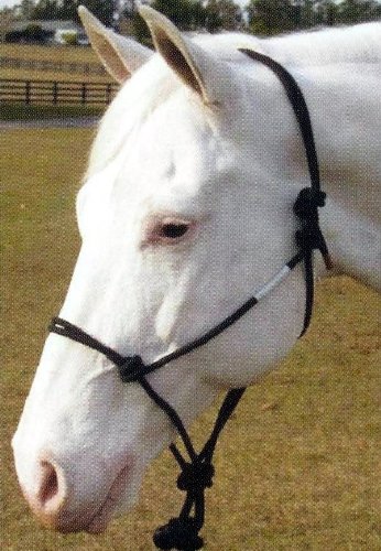 Hamilton Knotted Rope Halter With Matching Lead For Horses