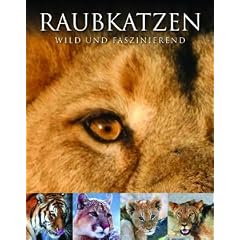 Abenteuer Wildnis: Raubkatzen: Wild und faszinierend