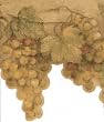 Coffee Grape Vine Wallpaper Border