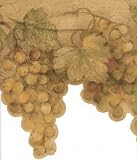 Coffee Grape Vine Wallpaper Border