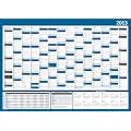 XXL Wandkalender 2013 - DIN A0 Format (1188 x 840 mm) - Wandplaner 2013 XXL - 14 Monate, inkl. Ferientermine und Feiertage + Vorschau 2014, Offset-Druck auf Bilderdruckpapier gl�nzend - (Kalender gerollt)