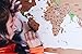 World Map - by Landmass Goods