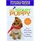 Puppies: All You Need To Know
