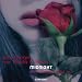 Midnight at Amazon mp3: 51eUVnuFLiL._SL75_