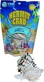 Shells for Hermit Crabs - Large - 2 pk