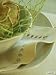 Linen Coaster Beige Crown