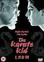 The Karate Kid/The Karate Kid Part 2/The Karate Kid Part 3 (Steelbook) [DVD] [1984]