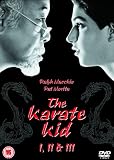 The Karate Kid/The Karate Kid Part 2/The Karate Kid Part 3 [DVD]