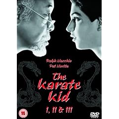 The Karate Kid/The Karate Kid Part 2/The Karate Kid Part 3 [DVD]