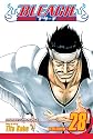 Bleach, vol 28