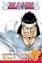 Bleach, Vol. 28