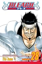 Bleach, vol 28