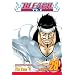 Bleach, Vol. 28