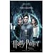 Harry Potter and the Deathly Hallows: Part I Poster Movie (11 x 17 Inches - 28cm x 44cm) Emma Watson Daniel Radcliffe Ralph Fiennes Helena Bonham Carter Tom Felton Alan Rickman MasterPoster Print, 11x17