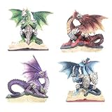 Fantasy Dragon Sat on Book