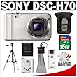 Sony Cyber-Shot DSC-H70 Digital Camera (Silver) with 16GB Card + Battery + Case + Tripod + Accessory Kit Sony Cyber-Shot DSC-H70 Digital Camera (Silver) with 16GB Card + Battery + Case + Tripod + Accessory Kit