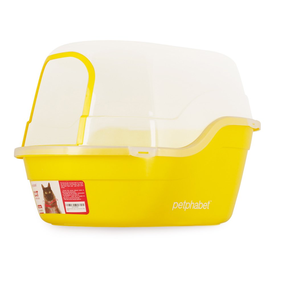 Best Litter Box for Multiple Cats Solutions Your Cat will Love