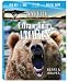 Nature: Extraordinary Animals - Bears & Wolves (Two-Disc Combo Blu-ray / DVD + Digital Copy)