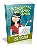 Wordpress Optimization Secrets