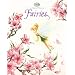 Hidden World of Fairies, The (Disney Fairies)