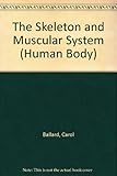 The skeleton and muscular system