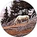 Horse#10 Spare Tire Cover