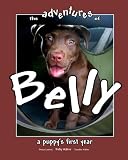The Adventures of Belly: A Puppy's First Year