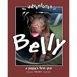 The Adventures of Belly: A Puppy's First Year