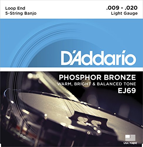D'AddarioBanjo Strings, Phosphor Bronze, EJ69, Light Gauge 9-20, 5-String Set, Pack of 1
