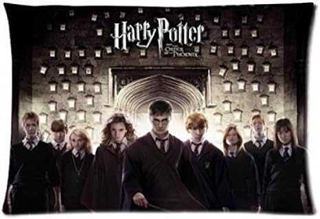 home pillow cushion Movie Harry Potter Custom Home Decor Cool Bedroom Setting Retro Throw Pillow Cases Covers 40x60cm Free Shipping ITU-09593