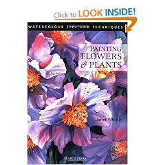 Painting Flowers and Plants (Watercolour Tips & Techniques)