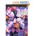 Painting Flowers and Plants (Watercolour Tips & Techniques)