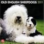 Old English Sheepdogs 2011 Square 12X12 Wall