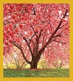 Cherry Tree Bookmark