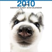 THE DOG シベリアン・ハスキー 2010年 カレンダー