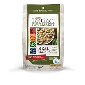 Nature's Variety Instinct Raw Market Grain-Free Freeze Dried Beef Recipe Meal Blends for Dogs, 1 lb. Bag