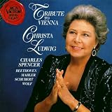 Tribute to Vienna