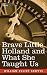 Book Brave Little Holland and What She Taught Us