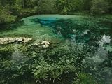Algae Bloom in a Woodland Pond or Marsh Photographic Poster Print by Raymond Gehman, 48x36
