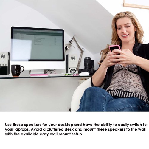  Speakers with Headphone/Microphone/Speaker Wires/Wall Mount Bracket