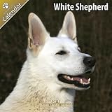 Kalender 2011 Weißer Schäferhund - Berger Blanc Suisse