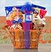 Born In The USA Pets Gift Basket