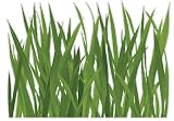Brewster Plage PL160344 Peel & Stick Low Grass European Wall Decals