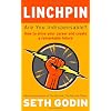 Linchpin: Are You Indispensable? How to Drive Your Career and Create a Remarkable Future