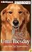 Until Tuesday: A Wounded Warrior and the Golden Retriever Who Saved Him